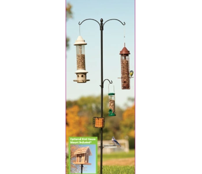 Basic Bird Feeding Station