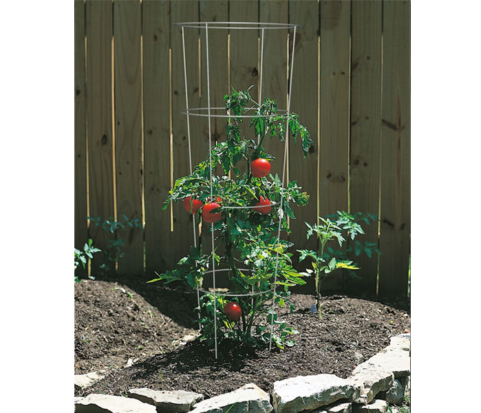 Tomato Cage Plant Supports
