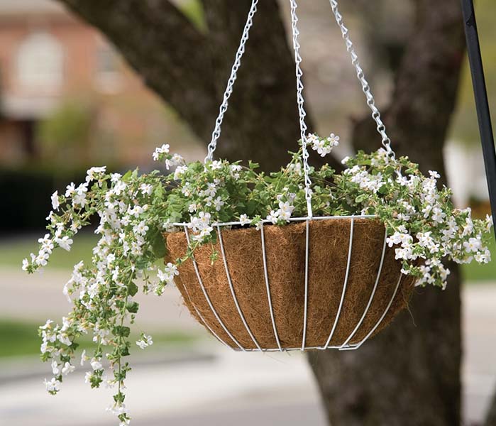 Growers Hanging Basket includes liners
