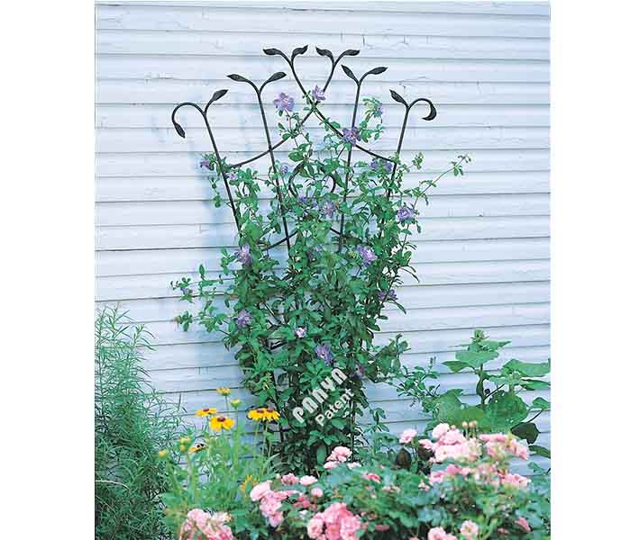 Forged Fan Trellis with Leaves