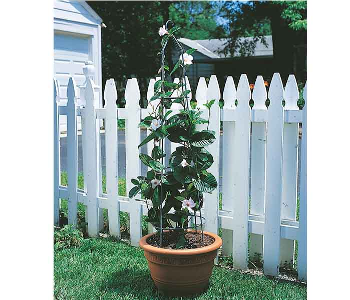 Garden Obelisk Pot Obelisk Plant support