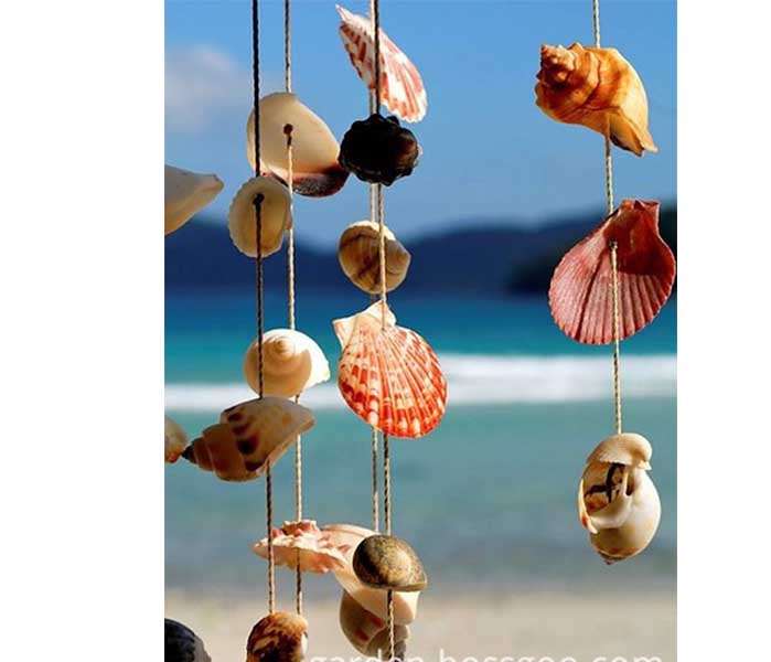 Bag Packed Natural Mixed Sea Shell For Decoration
